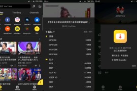 油管下载器Snaptube v7.34.0.73450310 安卓绿化版