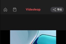 Videoleap v2.68 iOS绿化版