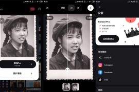 模糊人脸照片增强Remini v2.10.39 iOS绿化版