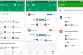 体育FotMob v207.13266 安卓绿化版