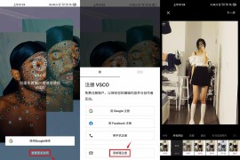 VSCO v378.0.0 iOS绿化版