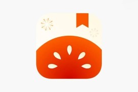 IOS圈X规则|番茄小说-净化AD