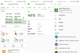 DevCheck v5.36 安卓绿化版