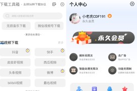 下载工具箱 v3.9.0 安卓绿化版