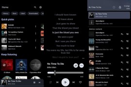 Metrolist - 轻量级 Android 第三方 YouTube Music 客户端