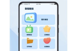数据恢复 v2.0.9(147) 安卓绿化版