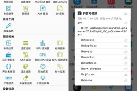 开发助手 v8.0.0 安卓绿化版