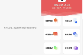 黑猫小说App，内置1000+线路！