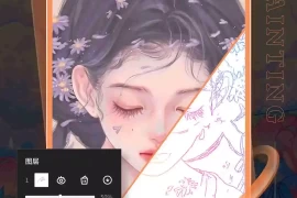 Sketchbook v6.1.1(454093) 安卓绿化版