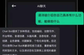 ChatBot v1.4.5_(24092401) 安卓绿化版