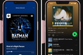 Spotify v8.9.90 iOS绿化版