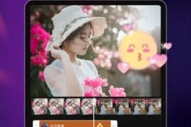 Filmigo视频剪辑制作软件 v5.5.1 cn(248) 安卓厉害版