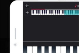 模拟钢琴 v25.5.53(345) 安卓绿化版