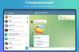 Telegram/web v11.3.4/11.4.1 安卓绿化版