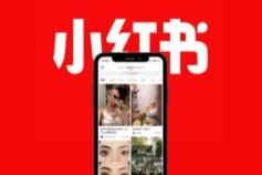 小红书 v8.48TF iOS绿化版