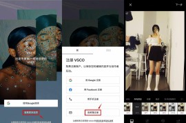 VSCO v399 安卓绿化版