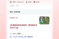西语助手 v9.7.6(26136) 安卓绿化版
