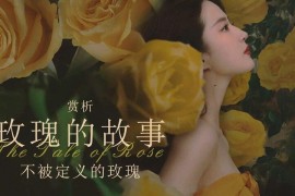 玫瑰的故事 (2024) 4K 国语中字 豆瓣: 7.1 #刘亦菲 #佟大为 #林更新 #万茜