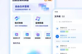 迅捷音频转换器 v2.9.0 安卓绿化版