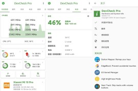 DevCheck v5.33 安卓绿化版