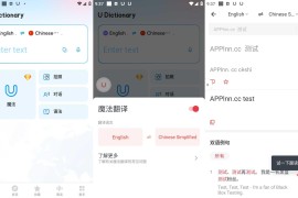 有道词典U-Dictionary v6.6.7.0 安卓绿化版