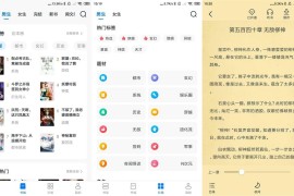 淘小说 v10.5.10 安卓绿化版