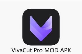 VivaCut v3.8.0 安卓绿化版