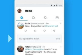 Twitter X v10.65 iOS绿化版